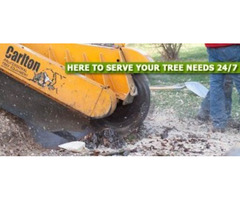 Professional Stump Grinding in Passaic County, NJ