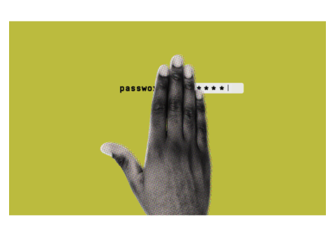 Online Password Manager