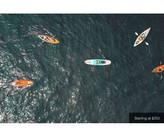 Kayak Tours in Wine County