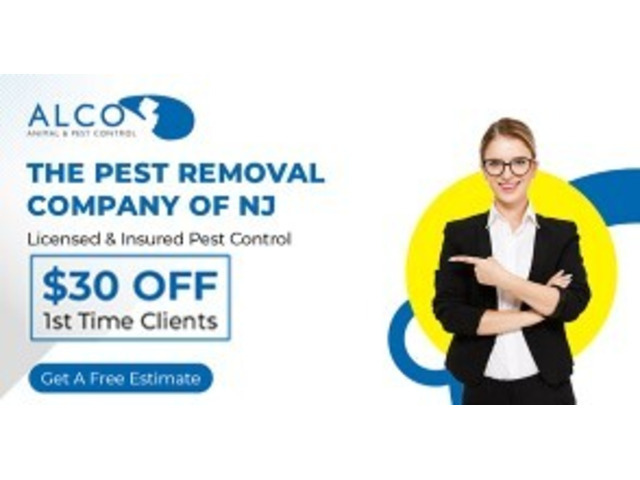 Effective mice control Bergen County