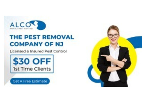 Effective mice control Bergen County