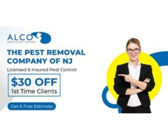 Effective mice control Bergen County