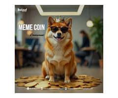 Top Meme Coin Development Company in India - Beleaf Technologies