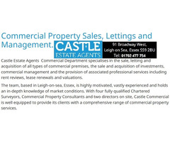 About Castle Estate Agents