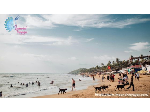 Unforgettable Honeymoon Tour Packages for Every Dream Destination