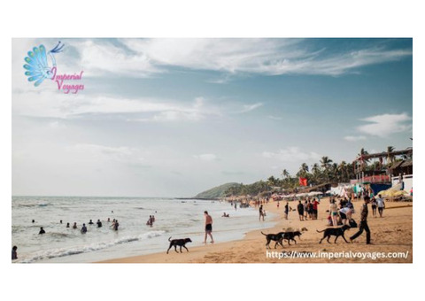 Unforgettable Honeymoon Tour Packages for Every Dream Destination