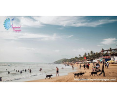 Unforgettable Honeymoon Tour Packages for Every Dream Destination