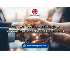 Business Development Services Supporting Global Business Solutions
