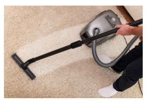 Everdry Carpet Steam Cleaning Services in Rose Bay