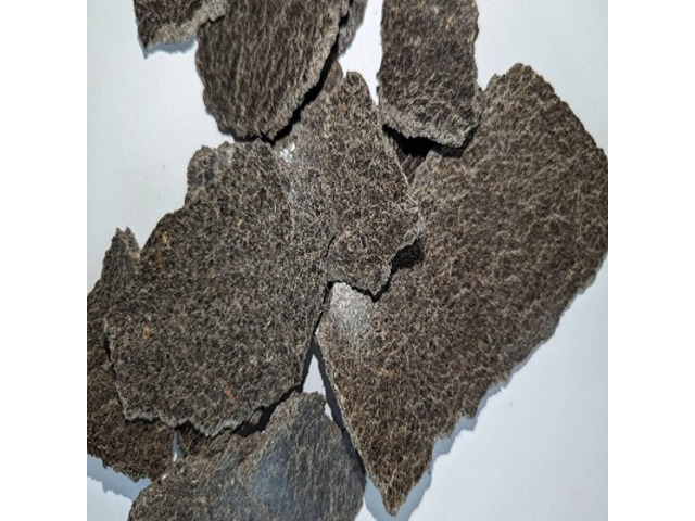 Farina di girasole ad alto contenuto proteico