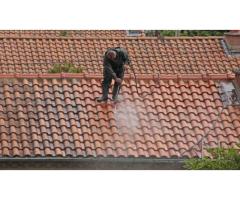 Best Service For Terracotta Roof Demoss