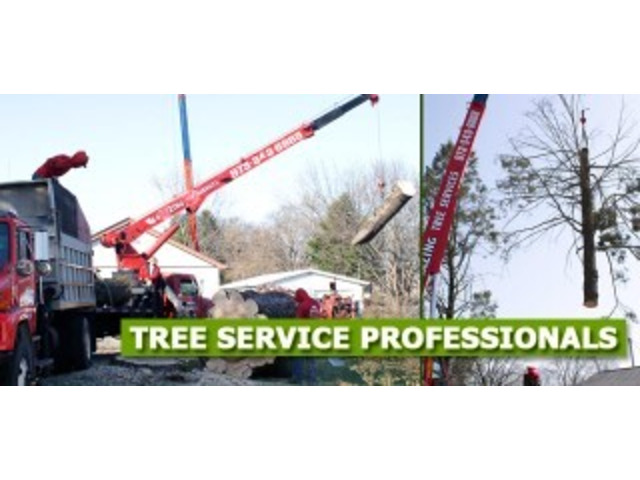 Expert Tree Removal in Saddle River, NJ