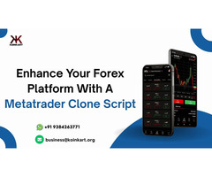 Enhance Your  Forex Platform with A Metatrader Clone Script