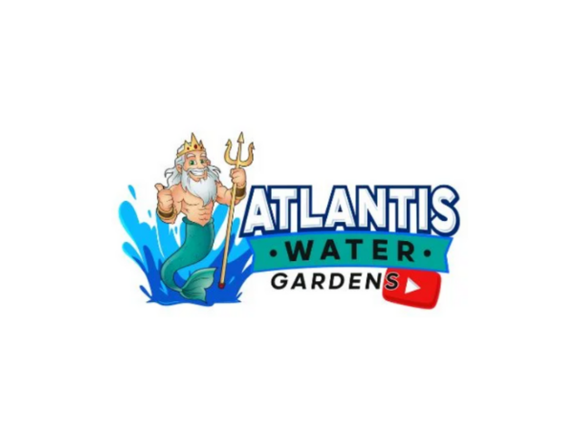 Koi Pond Maintenance in Union County