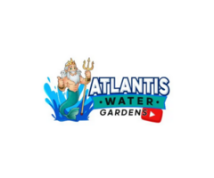 Koi Pond Maintenance in Union County