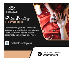Palm Reading in Miami – Discover Career & Love Secrets
