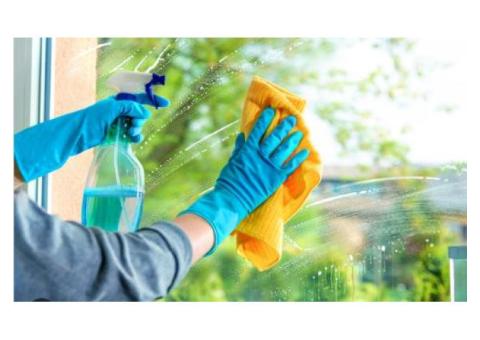 Gutter Cleaning