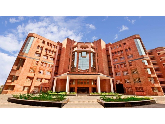 Top BBA Colleges in Delhi with Global Exposure