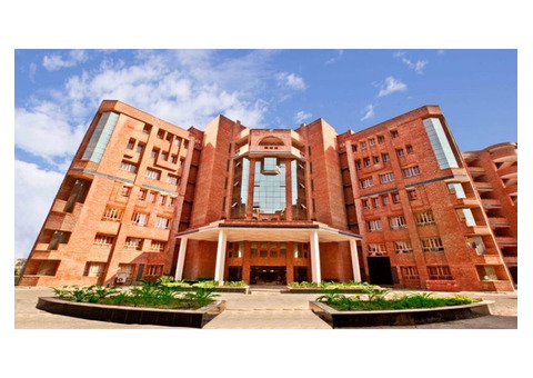 Top BBA Colleges in Delhi with Global Exposure