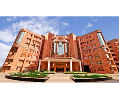 Interior Design Courses in India That Spark Bold New Careers