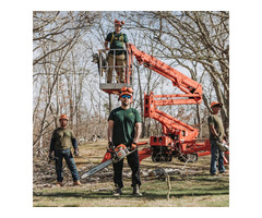 Brush Cutting Service