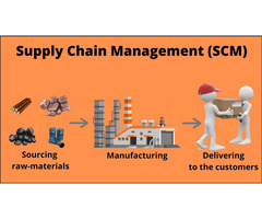 Supply Chain Management Course