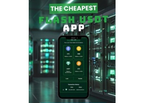 Send Flash Usdt Quickly and Simply