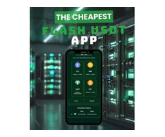 Send Flash Usdt Quickly and Simply
