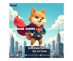 Customizable Meme Coin Development Services to Fit Your Vision