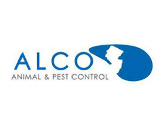 Pest Removal in North NJ – Fast, Humane & Comprehensive