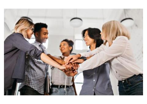 Culture Building Solutions
