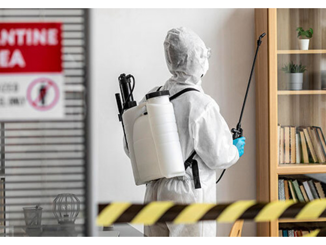 Bedbugs Removal Services in Ayrshire – Fast & Discreet