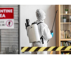 Bedbugs Removal Services in Ayrshire – Fast & Discreet