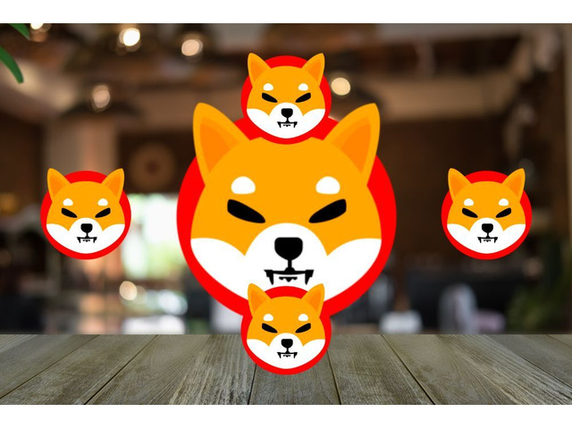 Read Analyst’s Views for Shiba inu Coin Price Prediction