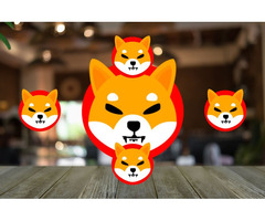 Read Analyst’s Views for Shiba inu Coin Price Prediction