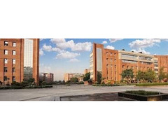 Shape the Future with Design | Top B.Des Colleges in Noida 2025