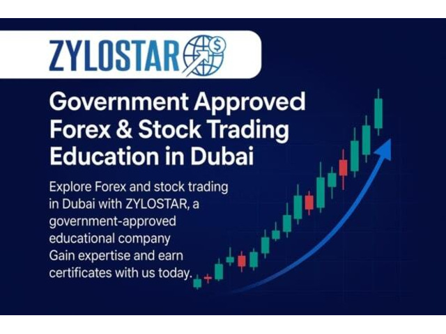Best Online Trading Academies in Dubai