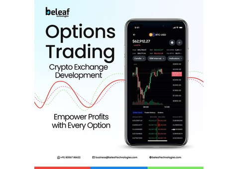 All-in-One Crypto Options Exchange Development - Beleaf Technologies