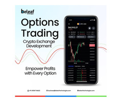 All-in-One Crypto Options Exchange Development - Beleaf Technologies