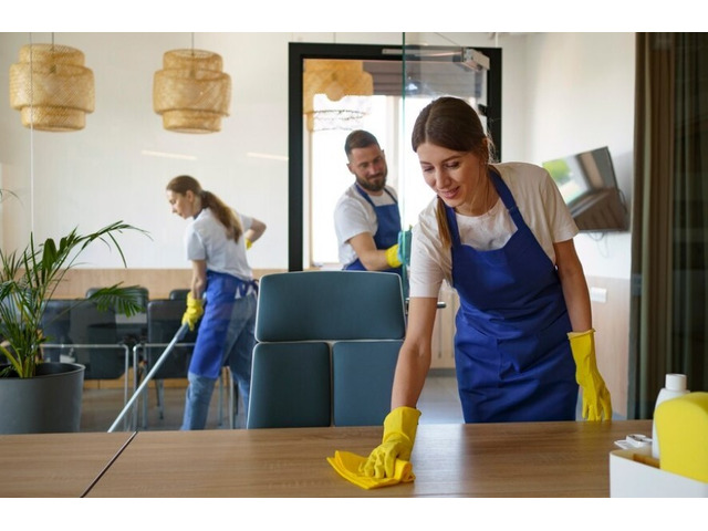 Professional House Cleaning Services in North Shore