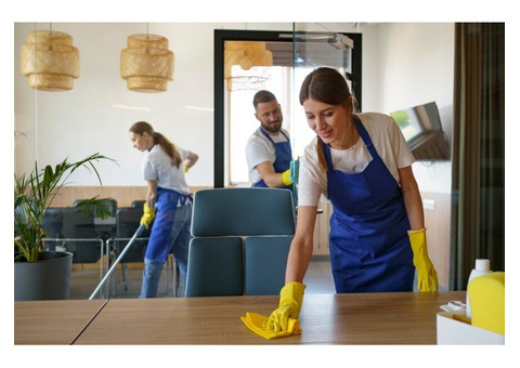 Professional House Cleaning Services in North Shore
