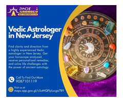 Vedic Astrologer in New Jersey