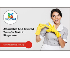 Affordable And Trusted Transfer Maid in Singapore