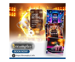 Join Dreamplay1 - Trusted Online Betting ID Services in India