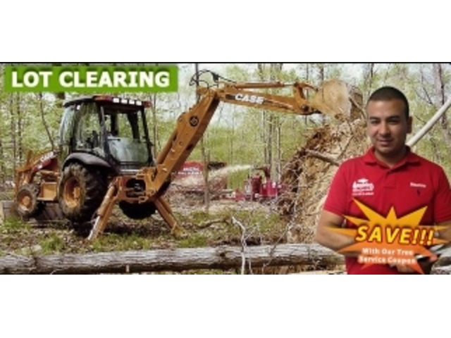 Land Clearing Bergen County, NJ – Efficient & Reliable Solutions