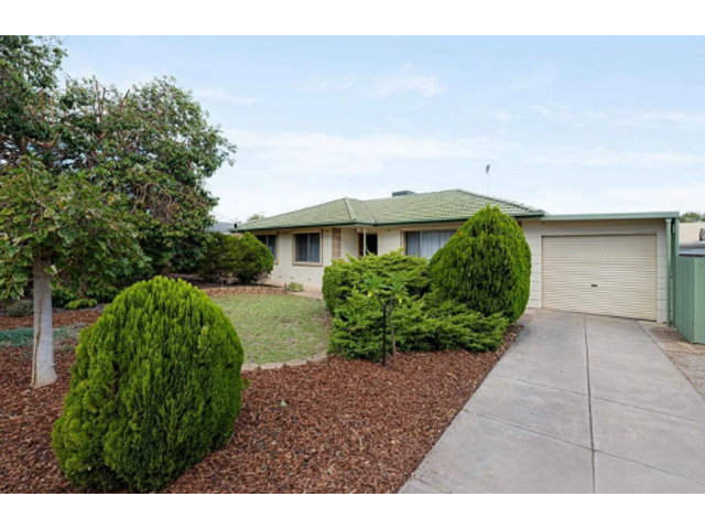 Find Custom Services With the Best Real Estate Agent in Ridgehaven