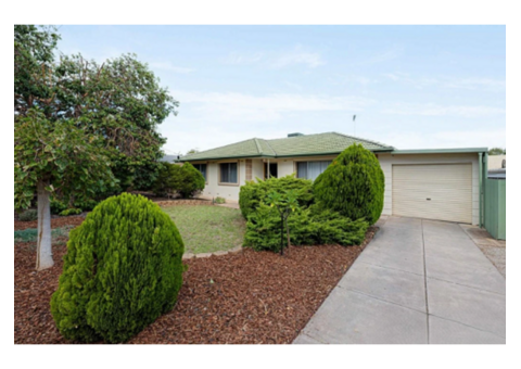 Find Custom Services With the Best Real Estate Agent in Ridgehaven