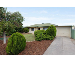 Find Custom Services With the Best Real Estate Agent in Ridgehaven