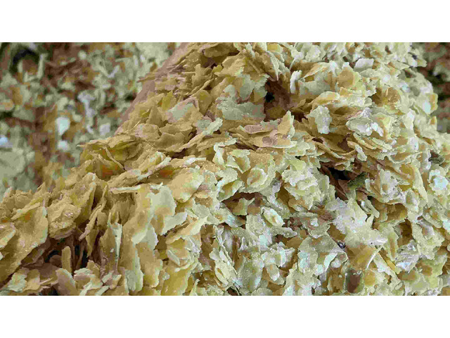 premium sojameel voor diervoeder