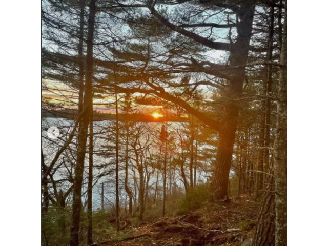 Ongoing Reliable Tree Care in Halifax